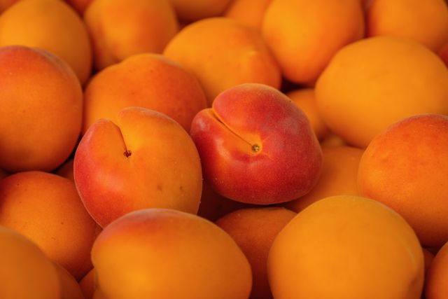 apricots for apricot mince pie recipe