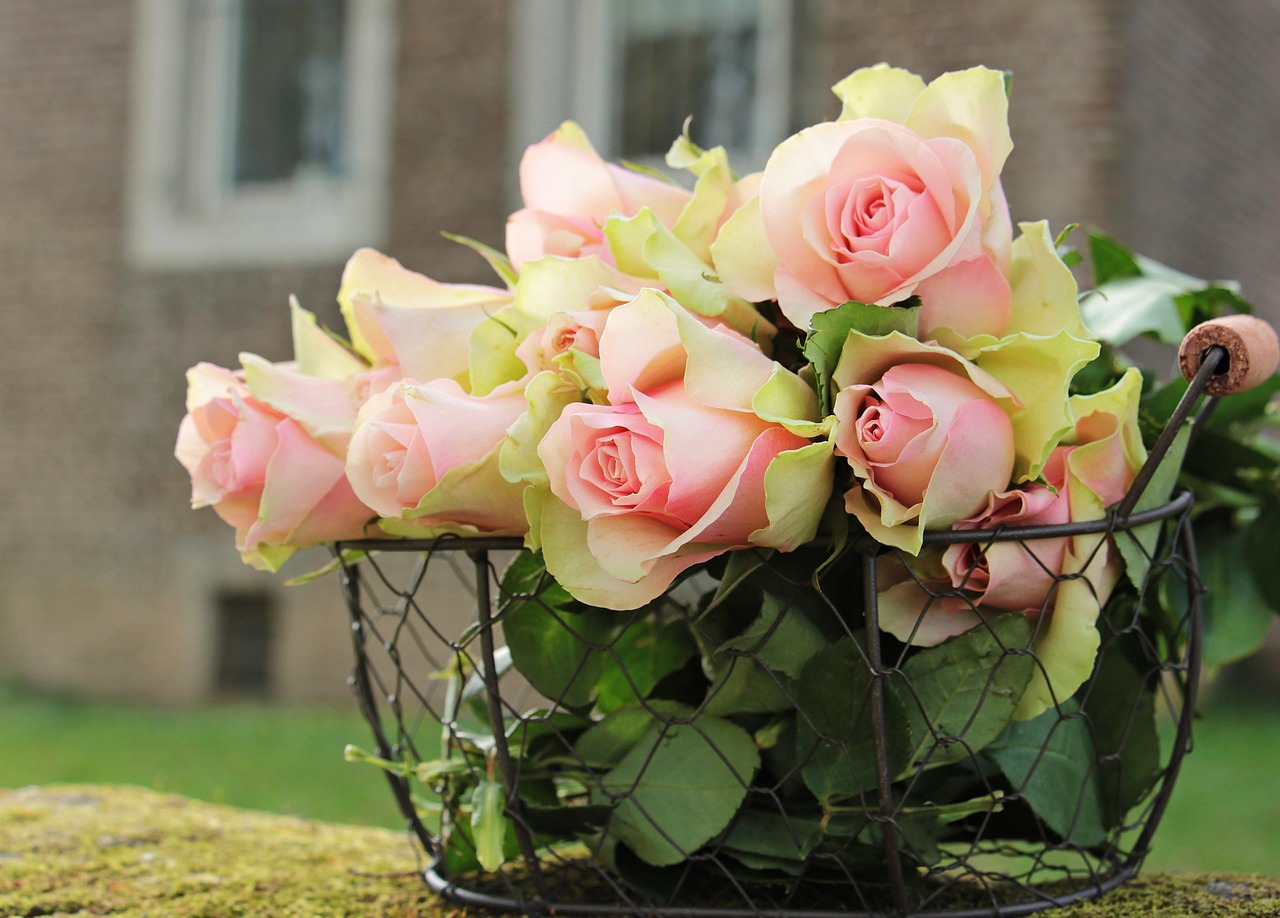 roses in wire basket