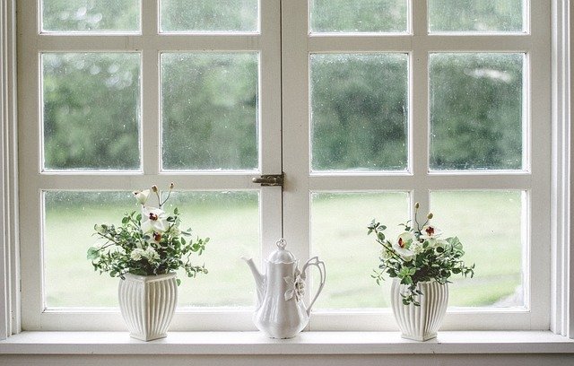 white window frame with plants