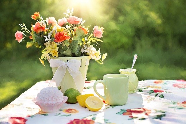 summer garden