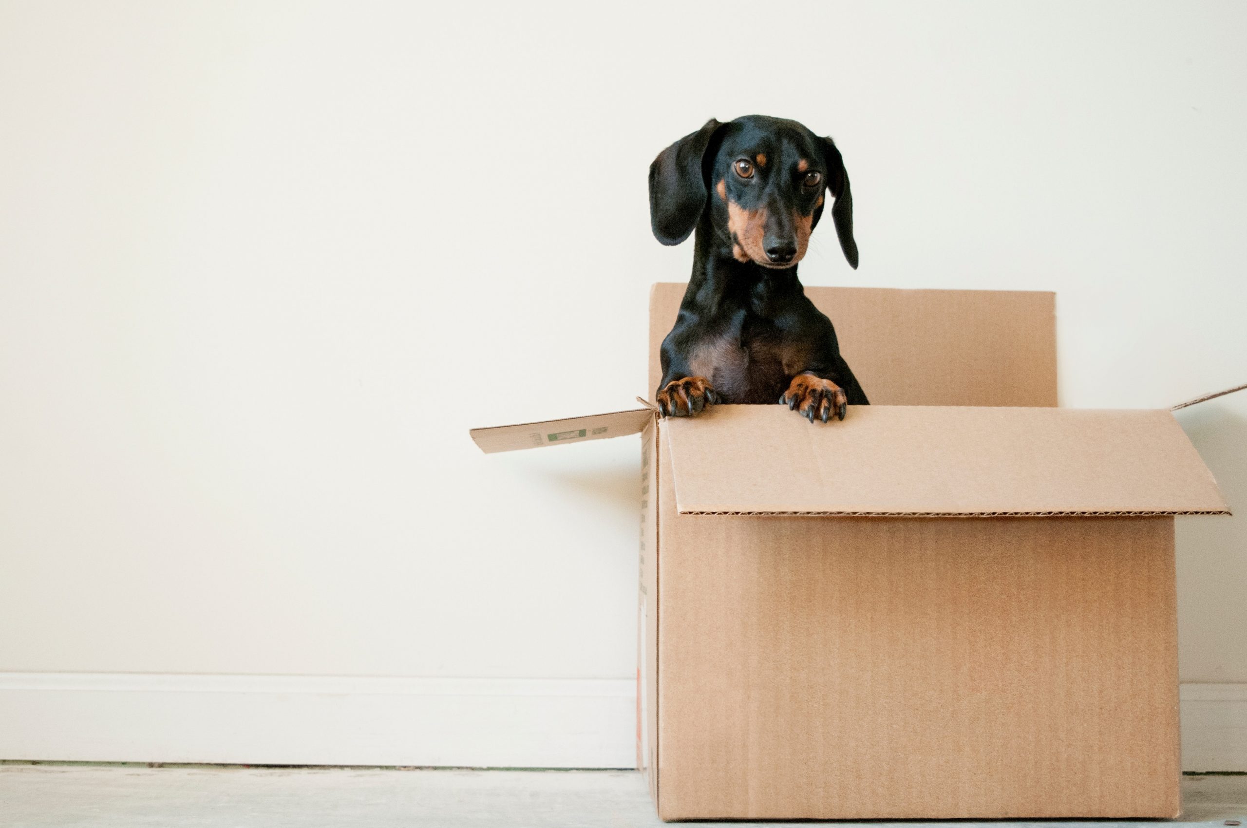 Getting The Most Out Of Moving Home moving box packing box