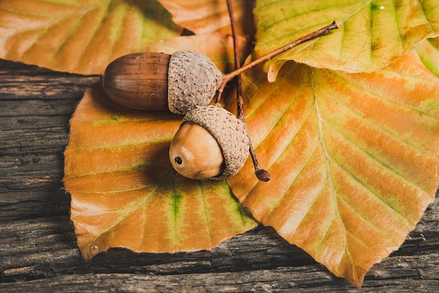 autumn leaf bowl